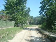 Ставчани з panoramio.com