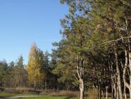 Філія з panoramio.com