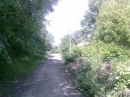 Андрушівка з panoramio.com