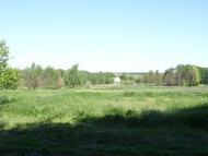 Медувата з panoramio.com