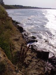 Кам'янське - Останні фото