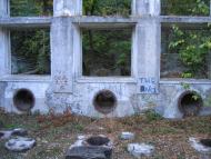 Буки з panoramio.com