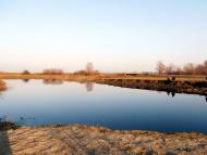 Вербіж з panoramio.com