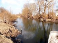 Вербіж з panoramio.com