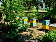 Гудзівка з panoramio.com