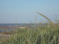 Преслав - Останні фото