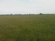 Мокре - Останні фото