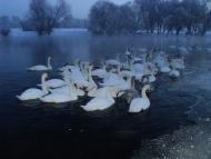 Червоноград з panoramio.com