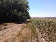 Васинівка - Останні фото