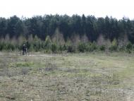 Лісівщина з panoramio.com