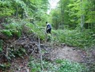 Многоріччя - Останні фото