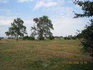 Мельники-Річицькі з panoramio.com