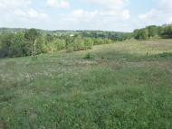 Розкопане з panoramio.com