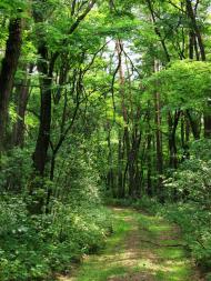 Малійки з panoramio.com