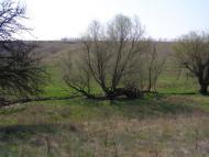 Сачки з panoramio.com