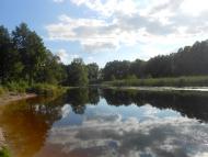 Кроти з panoramio.com