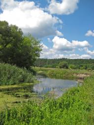 Скоморохи з panoramio.com