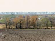 Лозова з panoramio.com