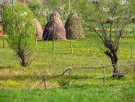 Солотвин з panoramio.com