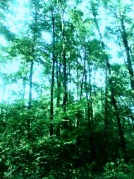 Шепетівка з panoramio.com (ч.2)