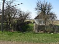 Лісівщина з panoramio.com