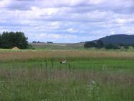 Шпиколоси з panoramio.com