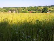 Нова Січ з panoramio.com