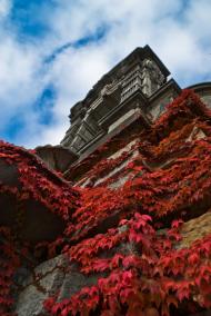 Масандра з panoramio.com