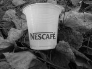 Новий Розділ з panoramio.com