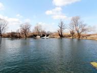 Гонятичі - Останні фото