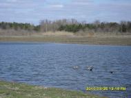 Інгулка з panoramio.com