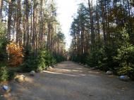 Кошари з panoramio.com