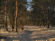 Ківерці з panoramio.com