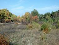 Галицинове з panoramio.com