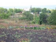 Бірки - Останні фото