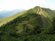 Бребоя - Останні фото