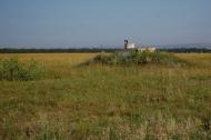 Голубівське - Останні фото