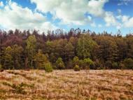 Осницьк з panoramio.com