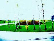 Митниця з panoramio.com