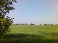 Новомайське з panoramio.com