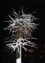 Ковель з panoramio.com (ч.2)