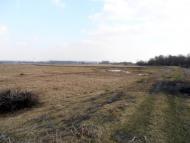 Вербіж з panoramio.com