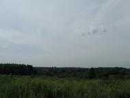 Барилівка - Останні фото