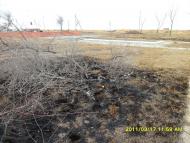 Челядиново - Последние фото