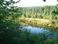 Лугинки з panoramio.com