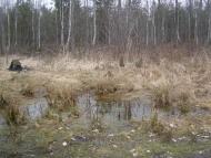 Кримне з panoramio.com