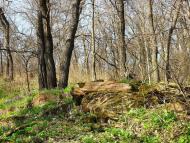 Карло-Марксове з panoramio.com