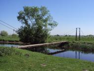 Вербіж з panoramio.com