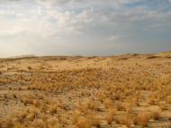 Подо-Калинівка з panoramio.com