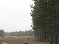Гладківка з panoramio.com